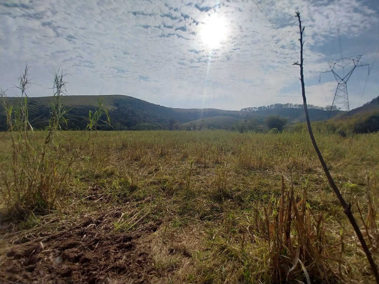 Fazenda, 200 m² - Foto 15