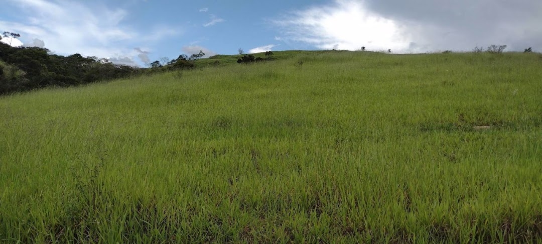 Fazenda em Guaratinguetá/São Paulo — Ref TRIBGM — Imagem 2