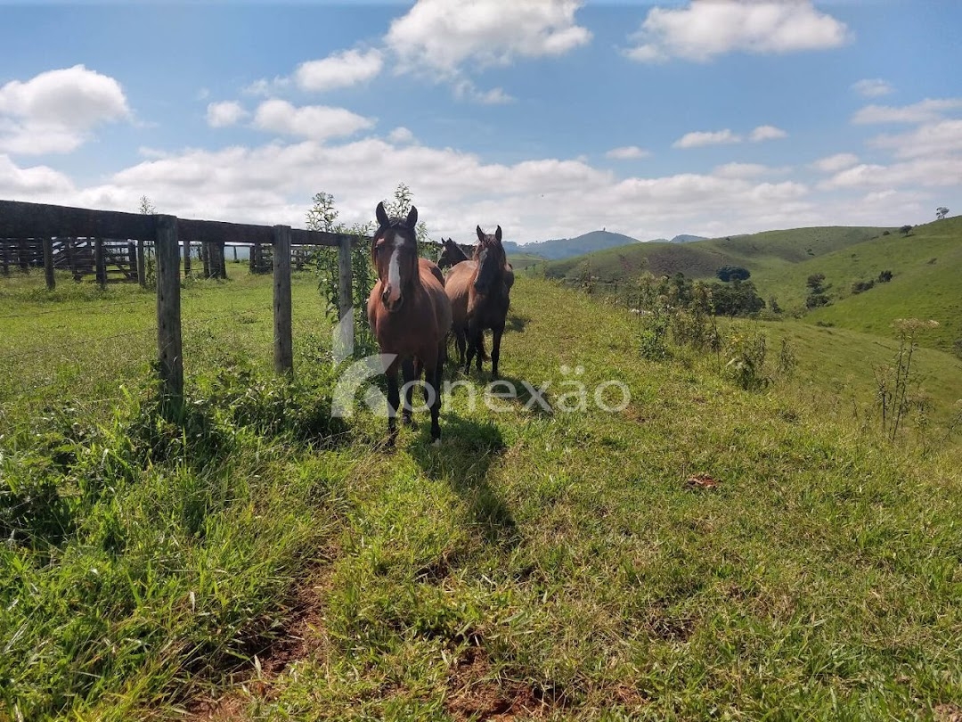 Fazenda em Igaratá/São Paulo — Ref 06F65C — Imagem 56