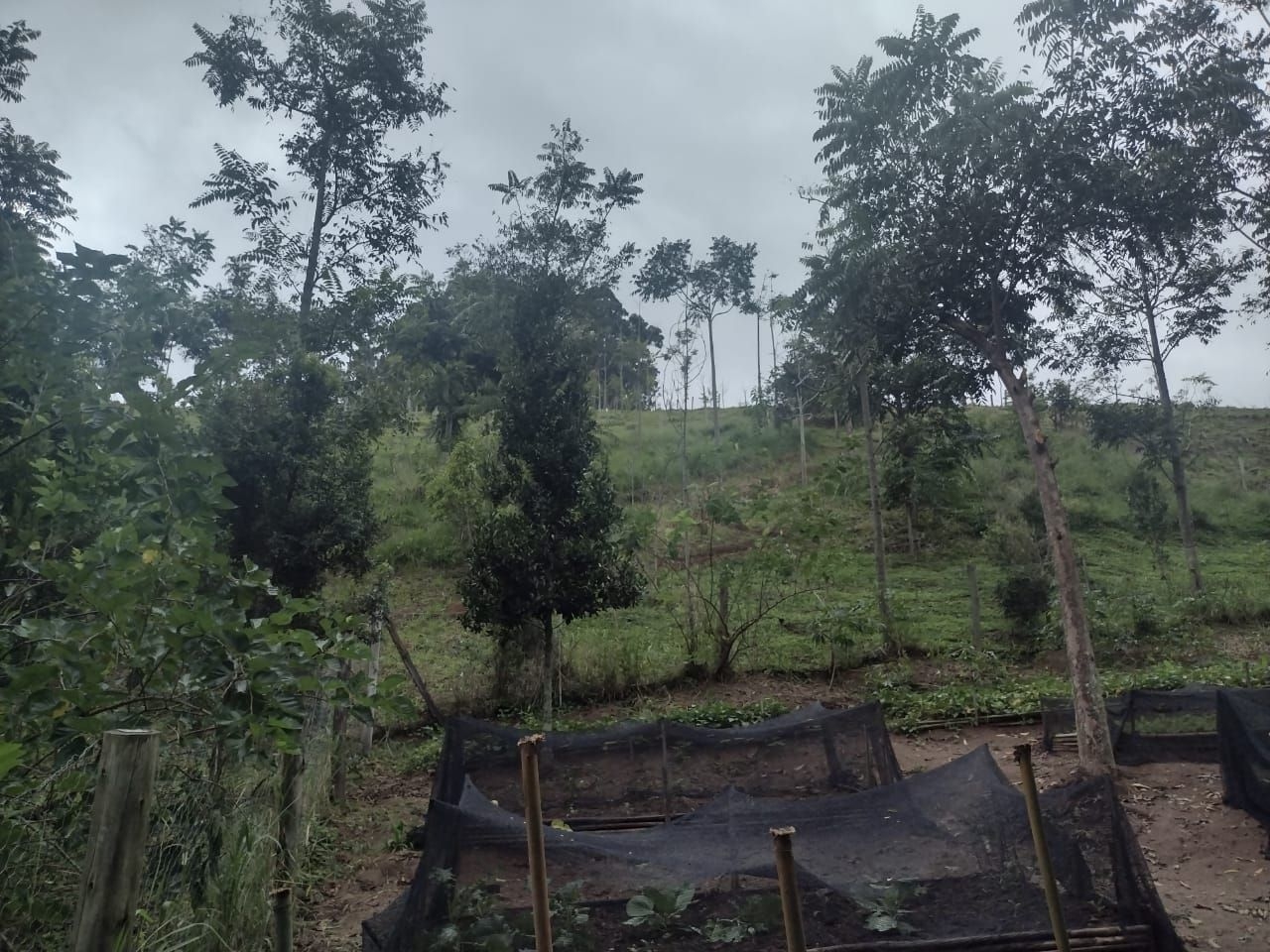 Chácara em São Luiz do Paraitinga/São Paulo — Ref 816D0E — Imagem 14