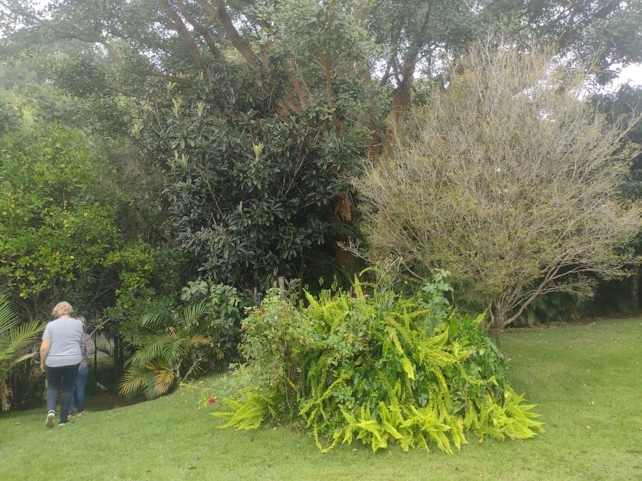 Chácara em São Luiz do Paraitinga/São Paulo — Ref 816D0E — Imagem 17