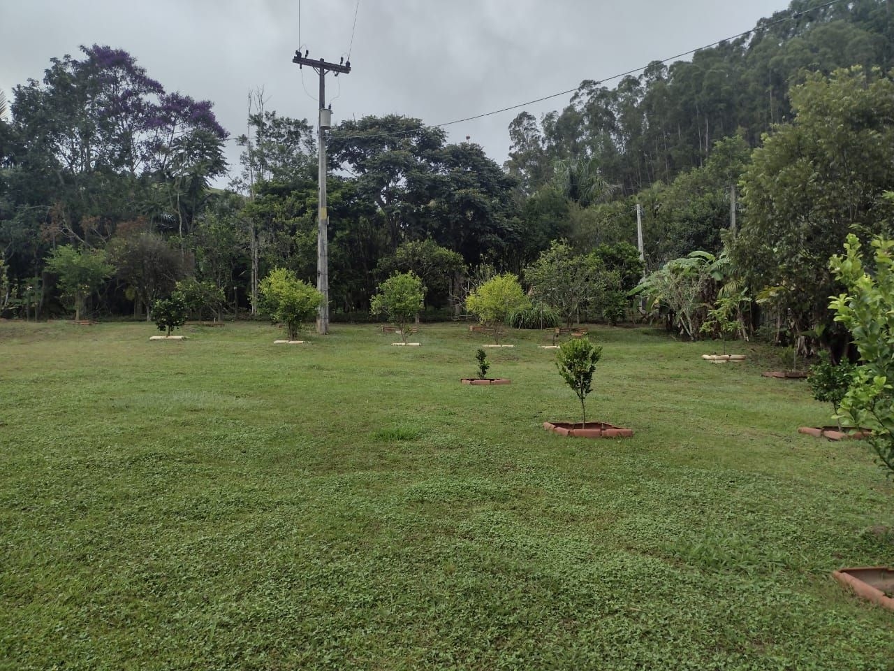 Chácara, 3 quartos, 100 m² - Foto 4