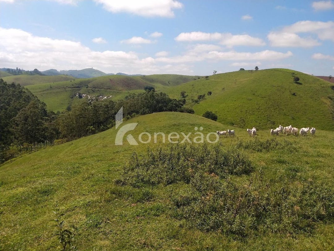 Fazenda em Igaratá/São Paulo — Ref 06F65C — Imagem 59