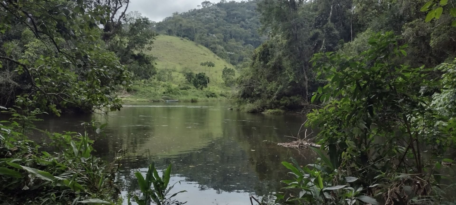 Sítio, 1 quarto, 100 m² - Foto 1