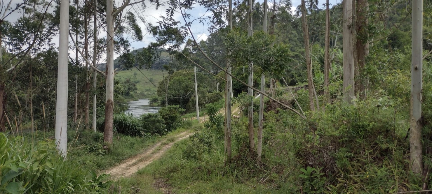 Sítio, 1 quarto, 100 m² - Foto 4