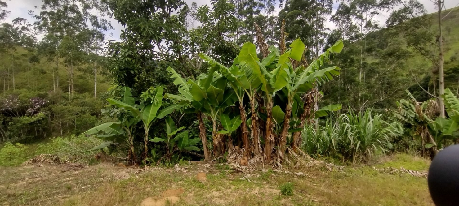 Sítio, 1 quarto, 100 m² - Foto 5