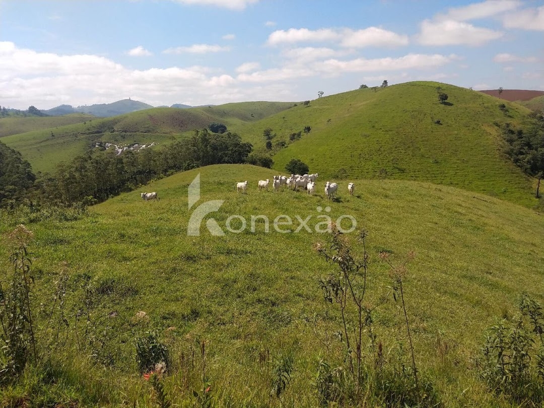 Fazenda em Igaratá/São Paulo — Ref 06F65C — Imagem 63