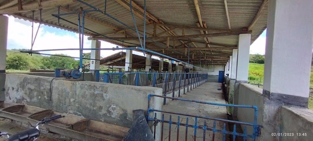 Fazenda em Guaratinguetá/São Paulo — Ref TRIBGM — Imagem 15