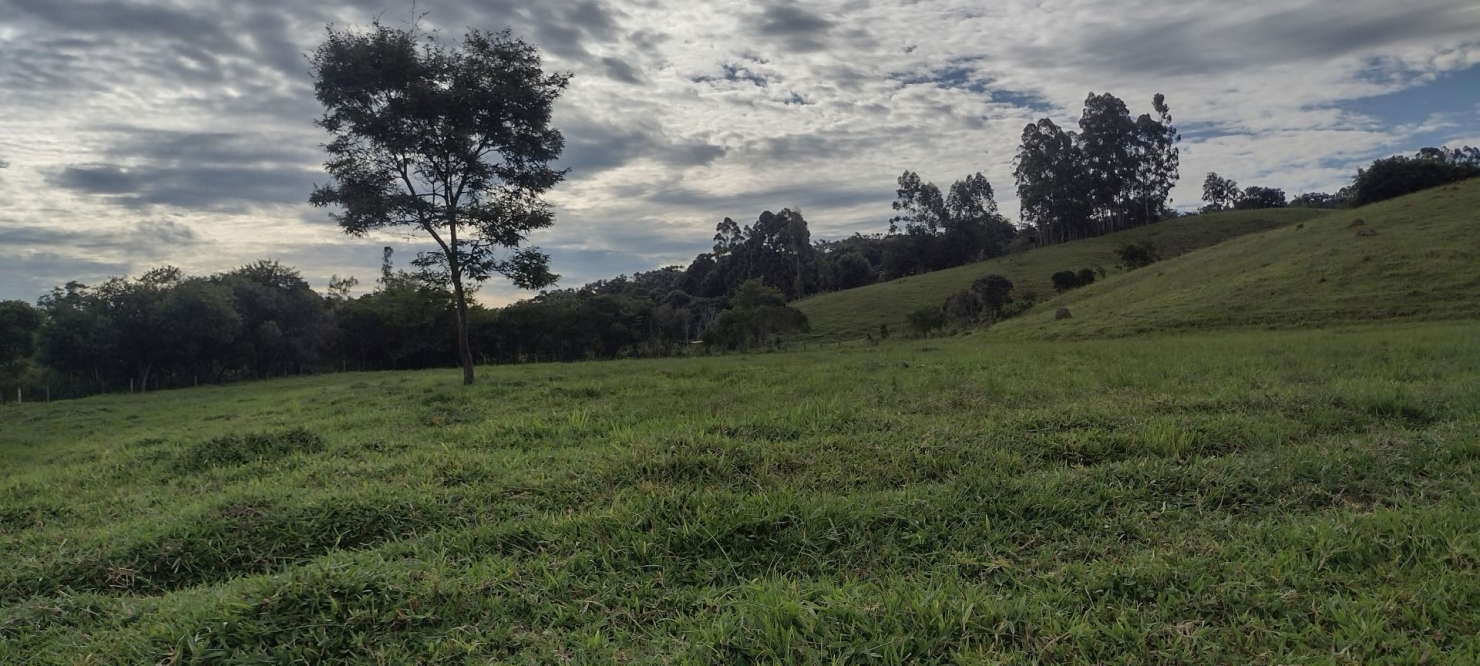 Sítio, 1 quarto, 100 m² - Foto 3