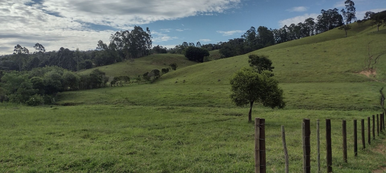 Sítio, 1 quarto, 100 m² - Foto 4