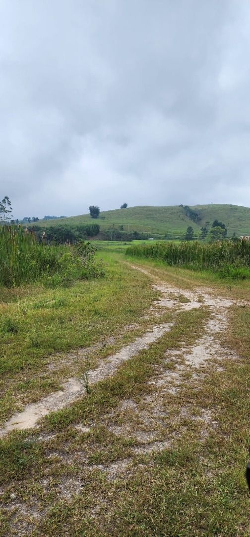 Sítio, 2 quartos, 150 m² - Foto 2