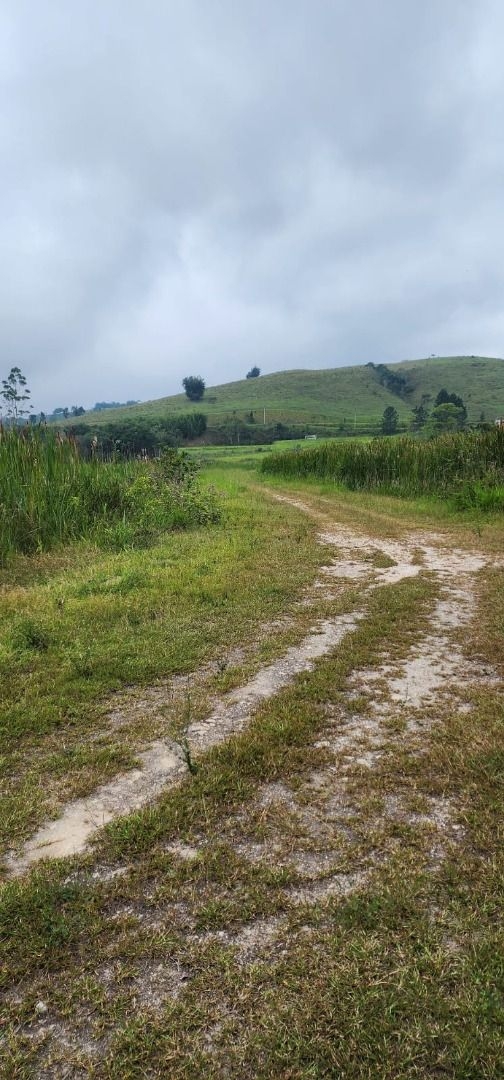 Sítio, 2 quartos, 150 m² - Foto 3