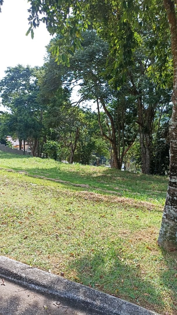 Terreno, 1000 m² - Foto 4