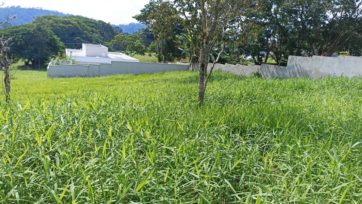 Terreno, 1000 m² - Foto 2