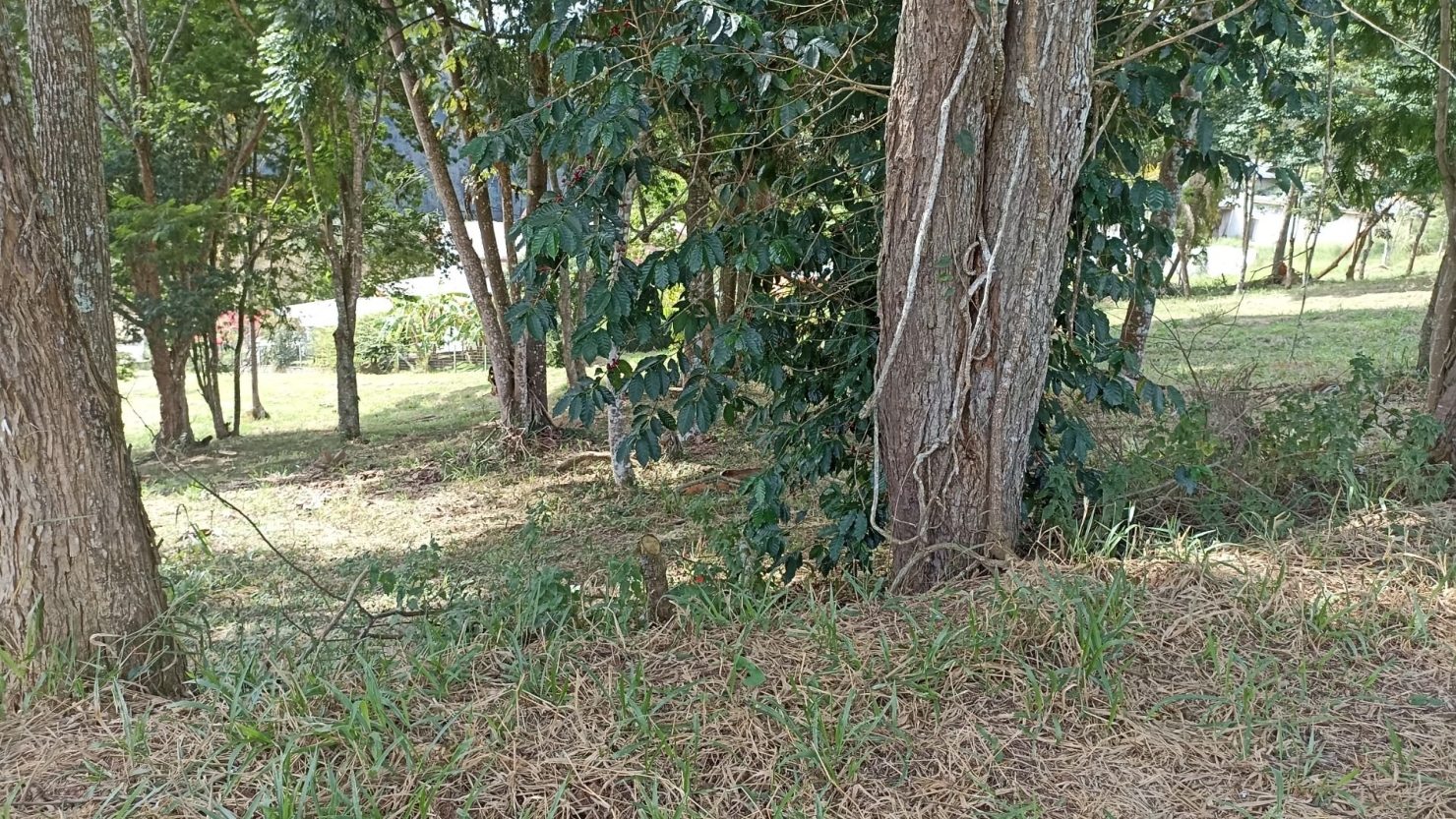 Terreno, 1000 m² - Foto 8