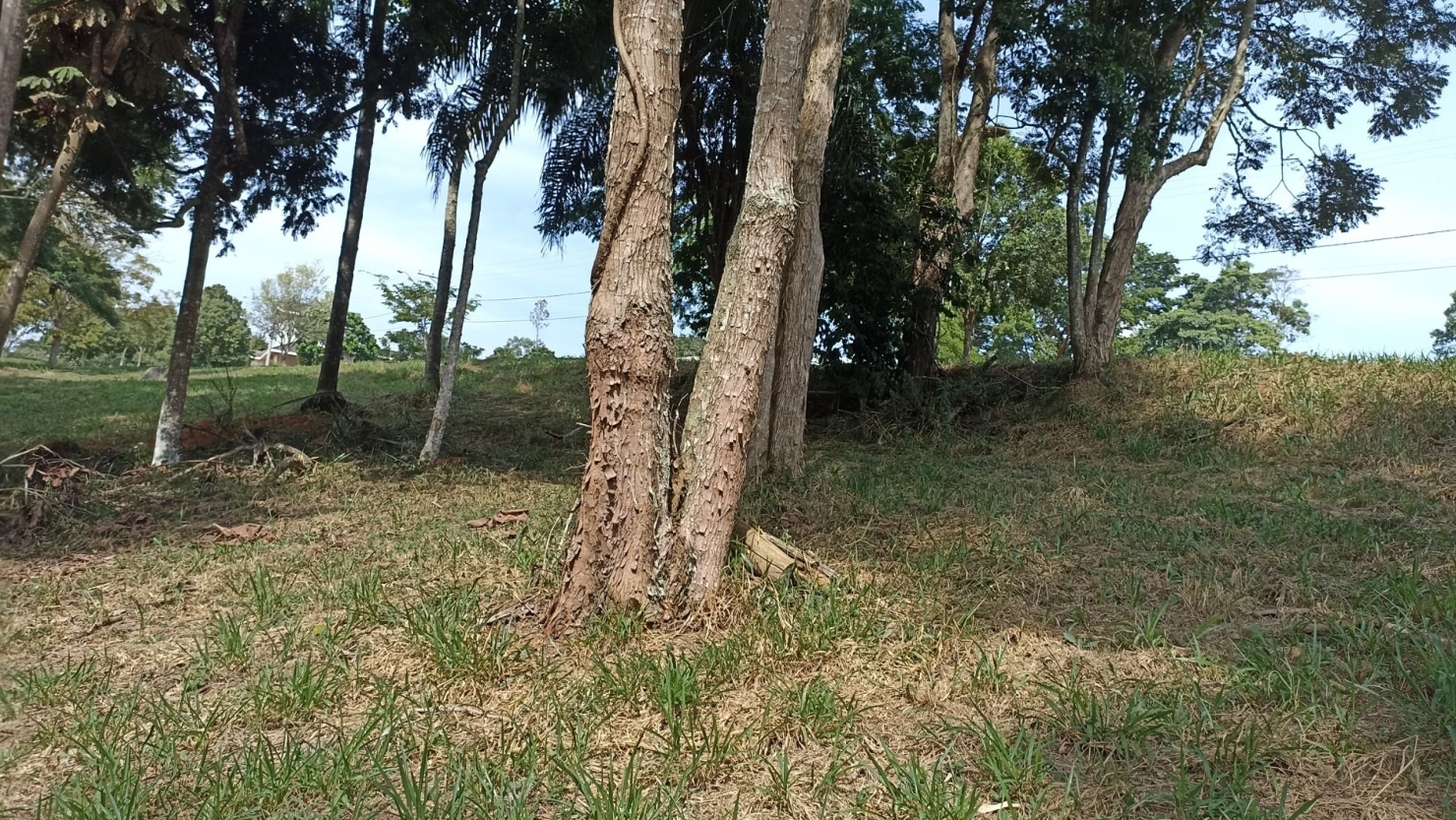 Terreno, 1000 m² - Foto 10