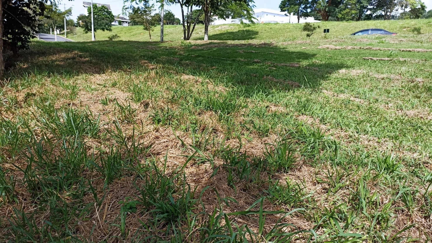 Terreno, 1000 m² - Foto 16