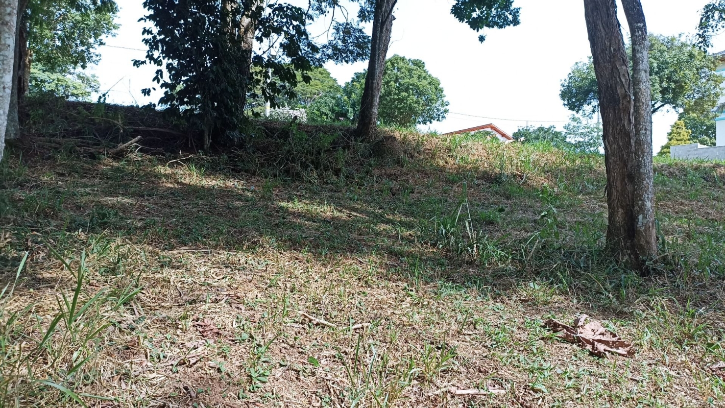 Terreno, 1000 m² - Foto 20