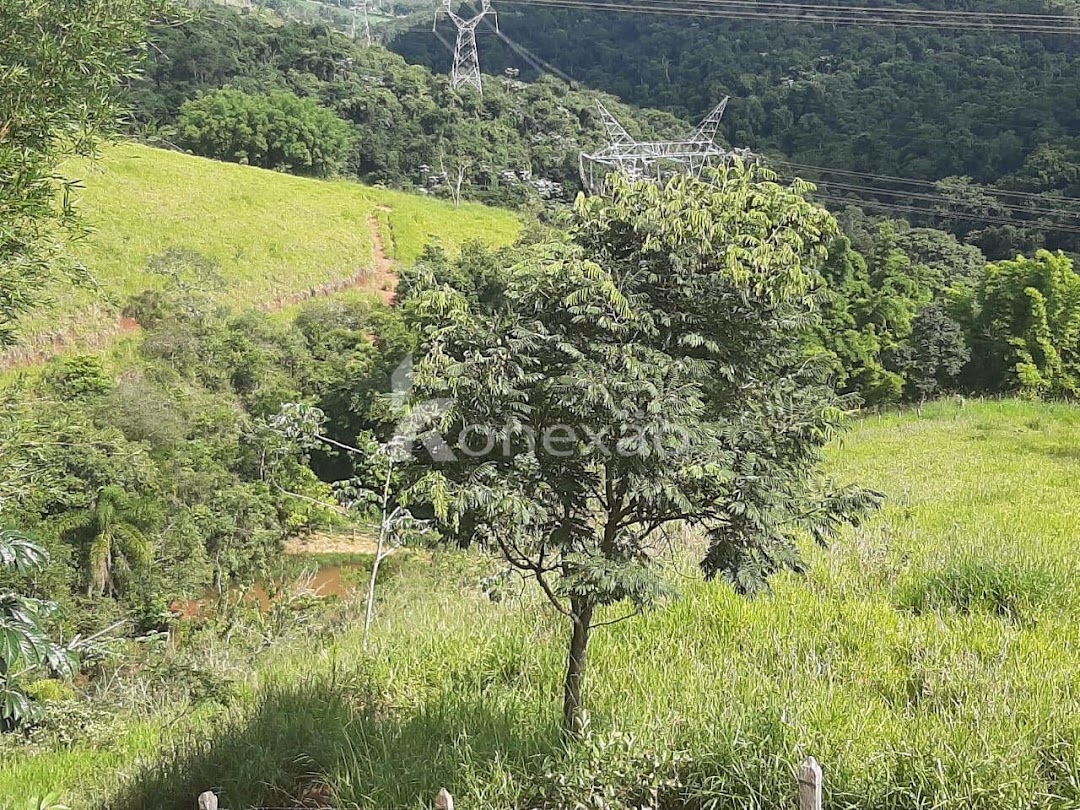 Sítio em Taubaté/São Paulo — Ref XCJH7Z — Imagem 7