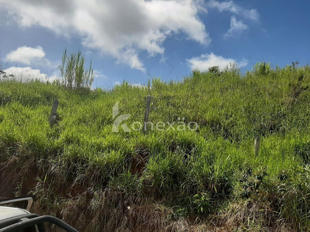 Sítio, 3 quartos, 300 m² - Foto 2