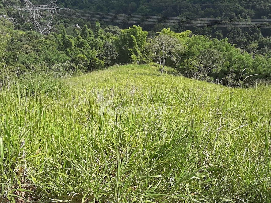 Sítio em Taubaté/São Paulo — Ref XCJH7Z — Imagem 8