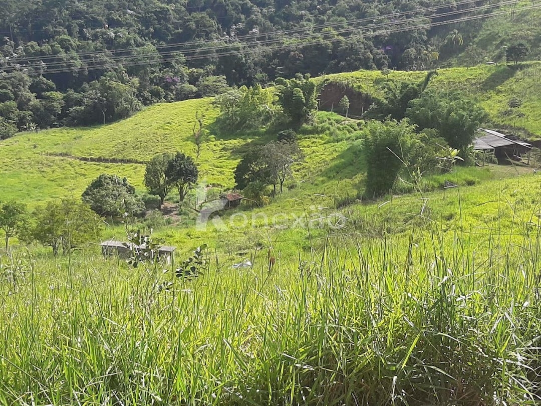 Sítio, 3 quartos, 300 m² - Foto 3