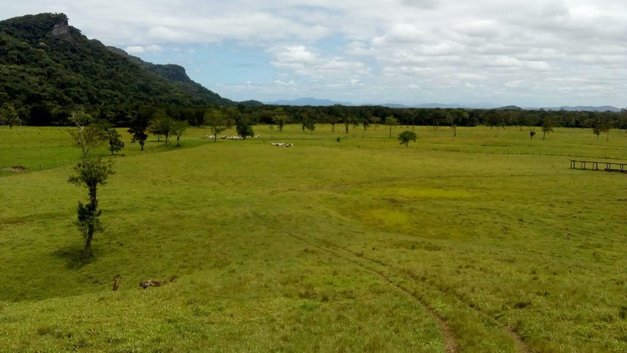 Fazenda-Sítio-Chácara, 290 hectares - Foto 2