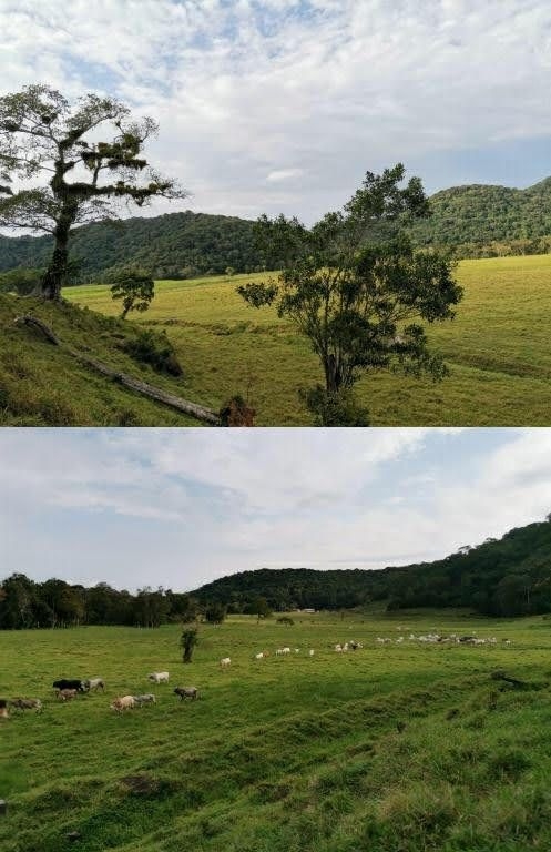 Fazenda em Miracatu/São Paulo — Ref TWH4QO — Imagem 38