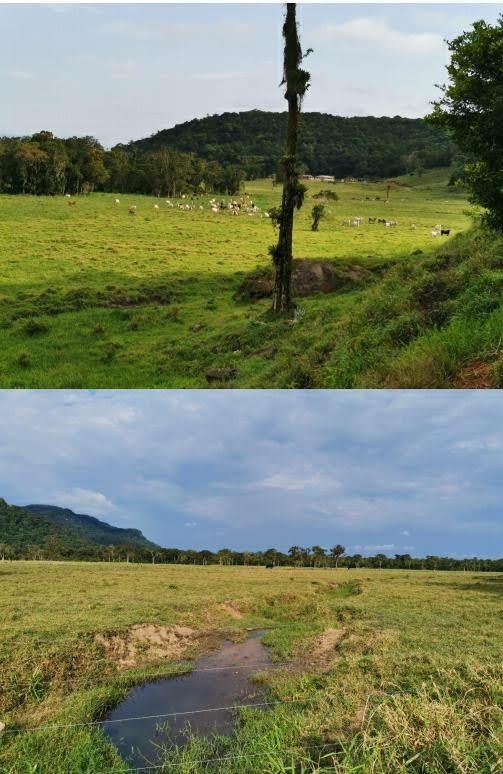 Fazenda em Miracatu/São Paulo — Ref TWH4QO — Imagem 39