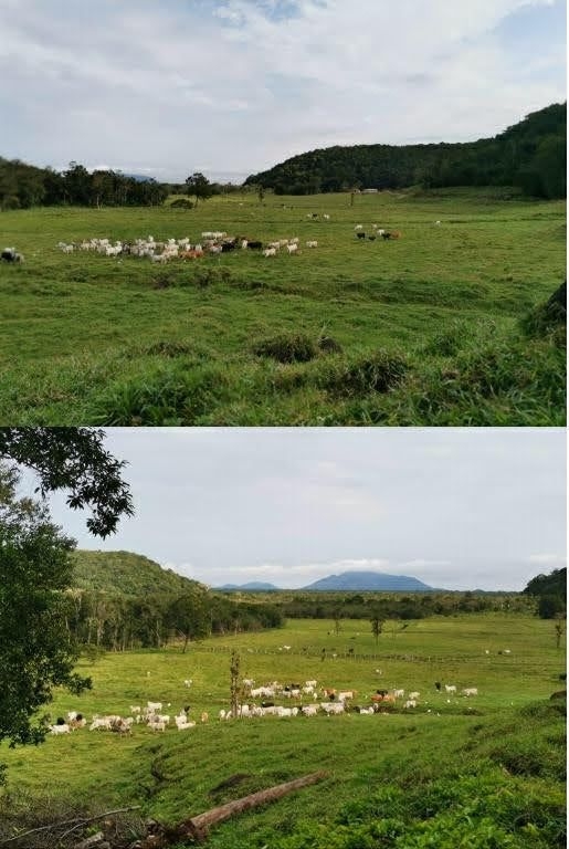 Fazenda em Miracatu/São Paulo — Ref TWH4QO — Imagem 40
