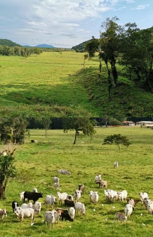 Fazenda em Miracatu/São Paulo — Ref TWH4QO — Imagem 43