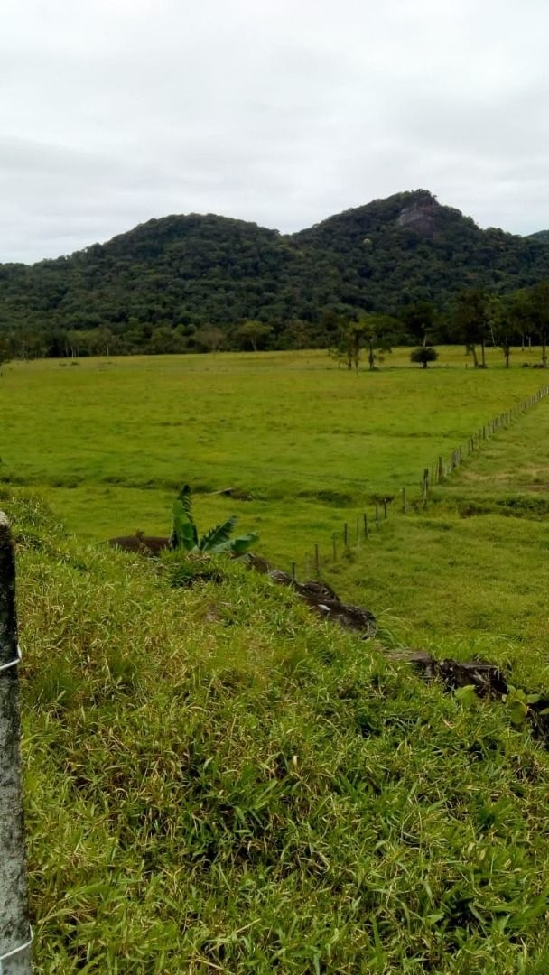 Fazenda-Sítio-Chácara, 290 hectares - Foto 5