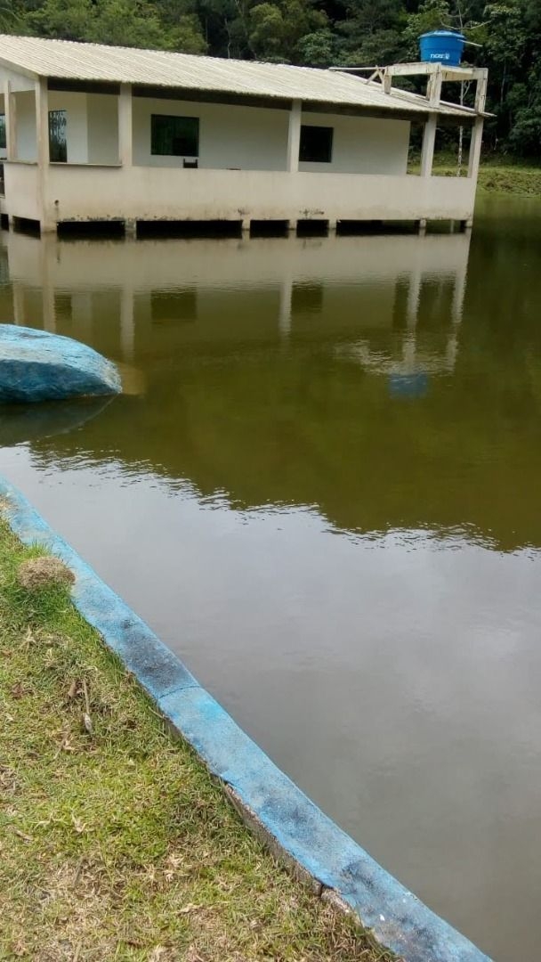 Fazenda-Sítio-Chácara, 290 hectares - Foto 4