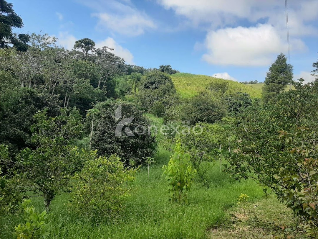 Sítio em Taubaté/São Paulo — Ref XCJH7Z — Imagem 6