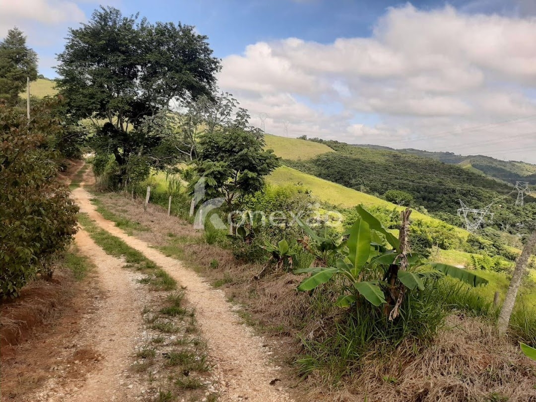 Sítio em Taubaté/São Paulo — Ref XCJH7Z — Imagem 14