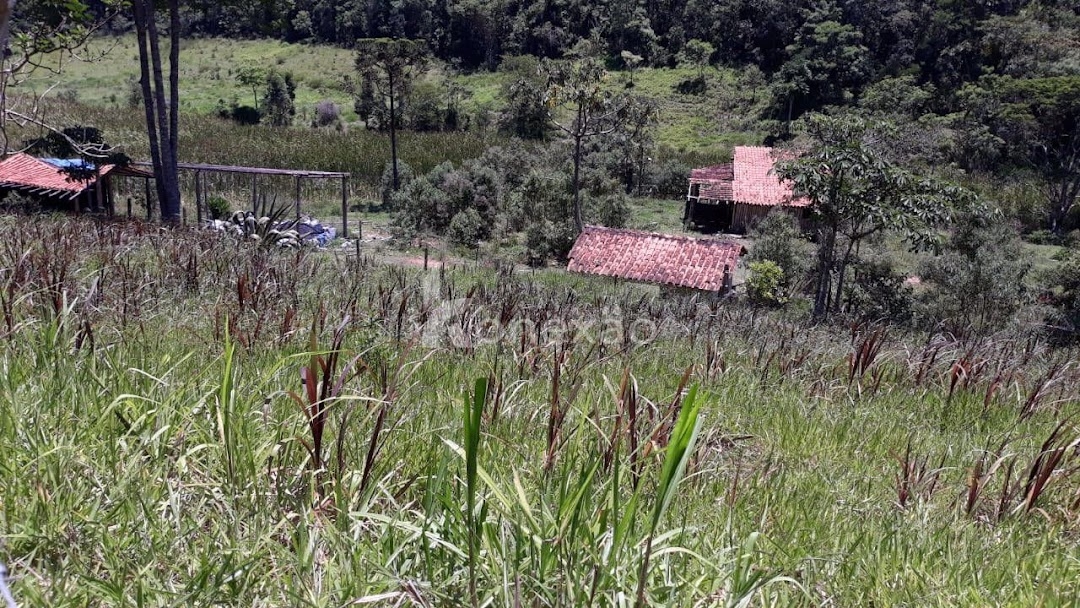 Sítio, 3 quartos, 200 m² - Foto 3