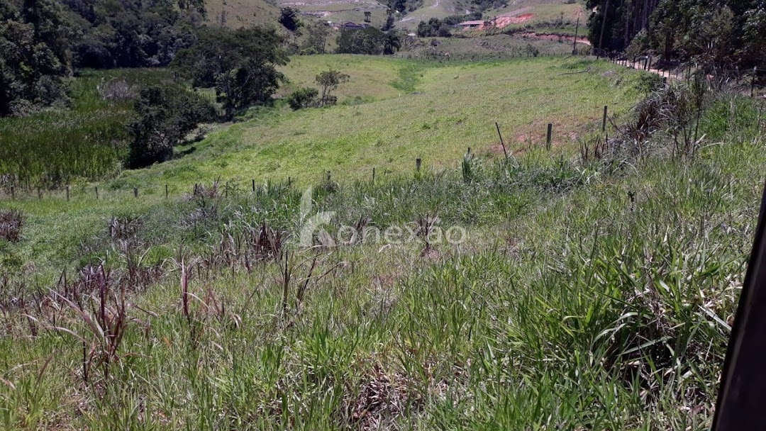 Sítio, 3 quartos, 200 m² - Foto 4