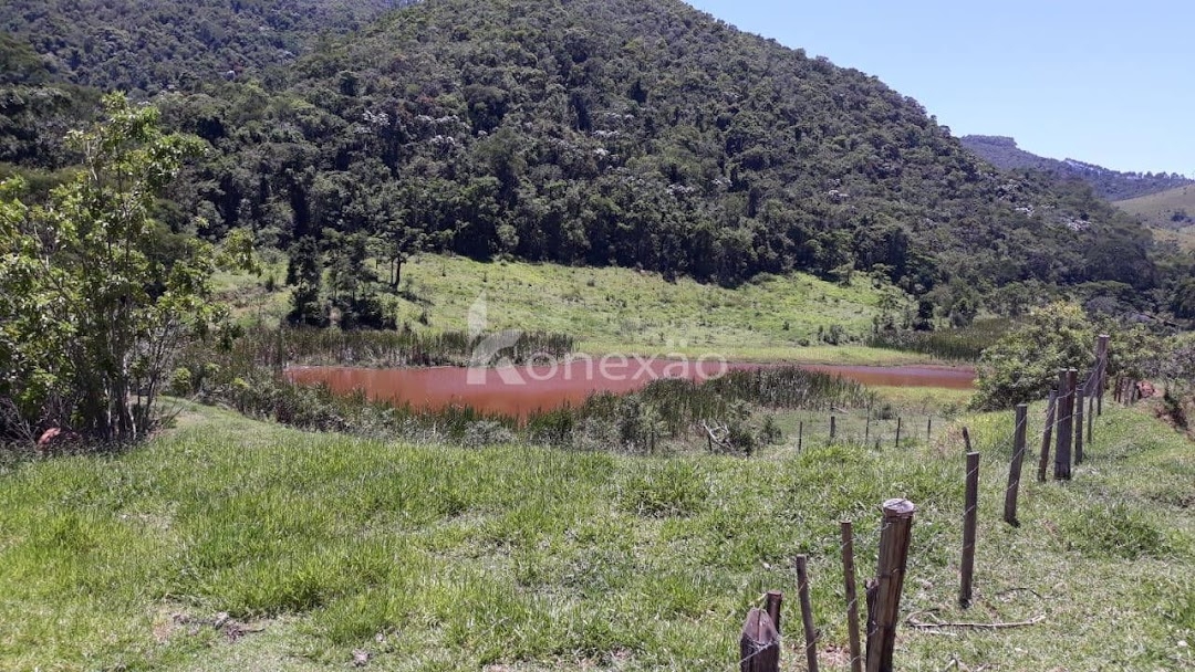 Sítio, 3 quartos, 200 m² - Foto 1