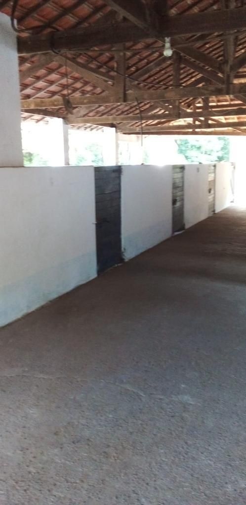 Fazenda, 30 hectares - Foto 3