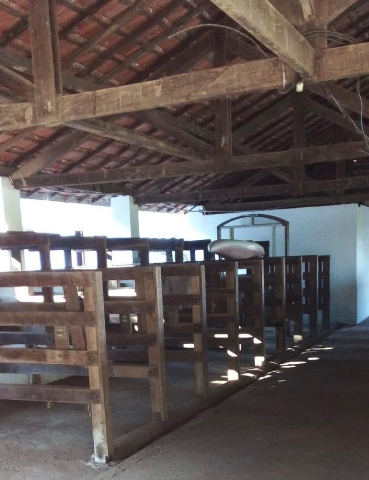 Fazenda, 30 hectares - Foto 5