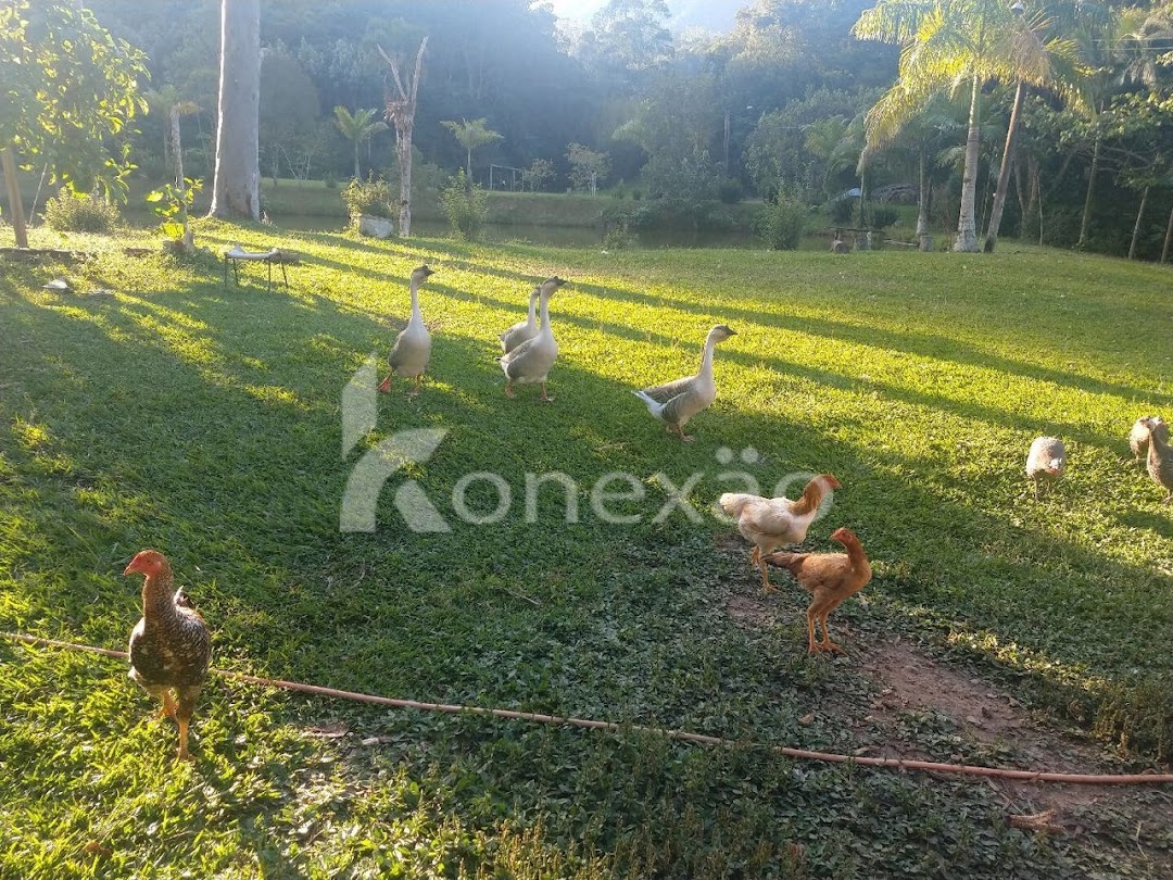 Chácara em São José dos Campos/São Paulo — Ref ZBQ0AT — Imagem 15