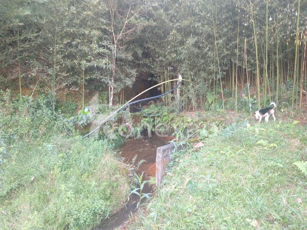 Chácara em São José dos Campos/São Paulo — Ref ZBQ0AT — Imagem 10