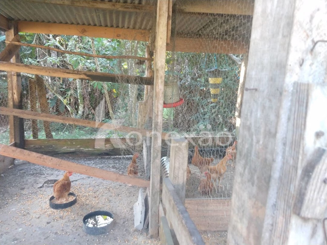 Chácara em São José dos Campos/São Paulo — Ref ZBQ0AT — Imagem 19