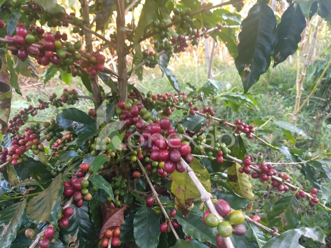 Chácara em São José dos Campos/São Paulo — Ref ZBQ0AT — Imagem 22