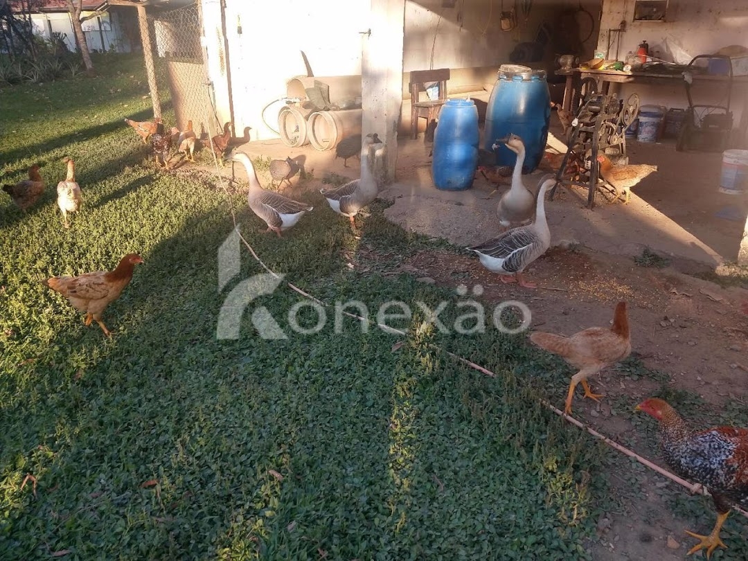 Chácara em São José dos Campos/São Paulo — Ref ZBQ0AT — Imagem 28