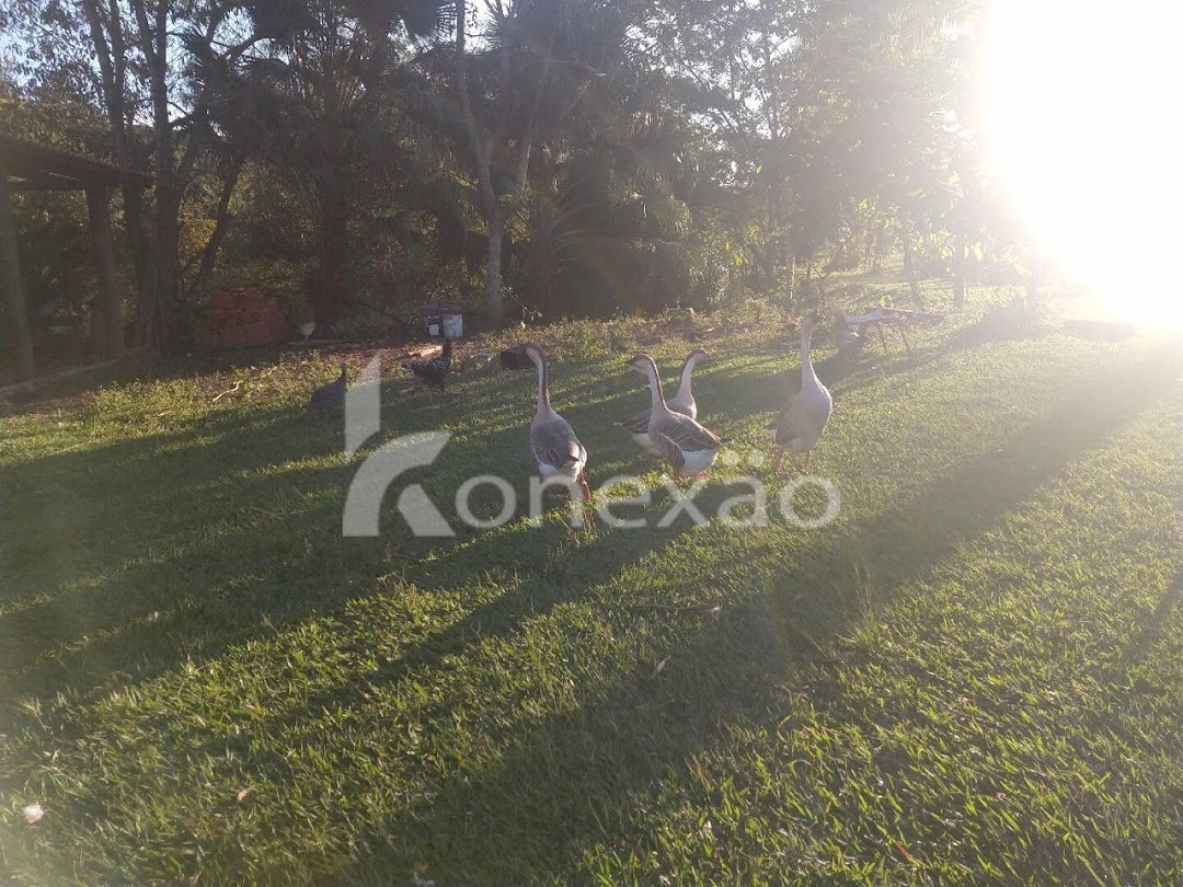 Chácara em São José dos Campos/São Paulo — Ref ZBQ0AT — Imagem 27