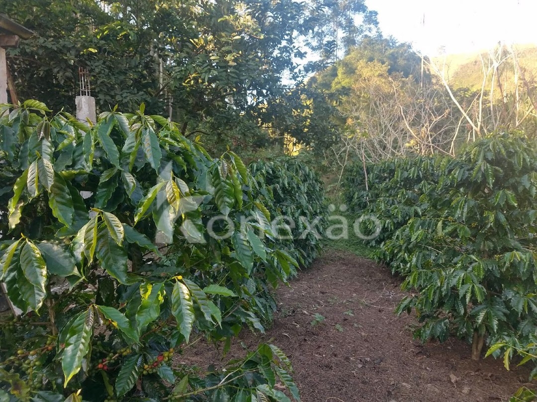 Chácara em São José dos Campos/São Paulo — Ref ZBQ0AT — Imagem 20