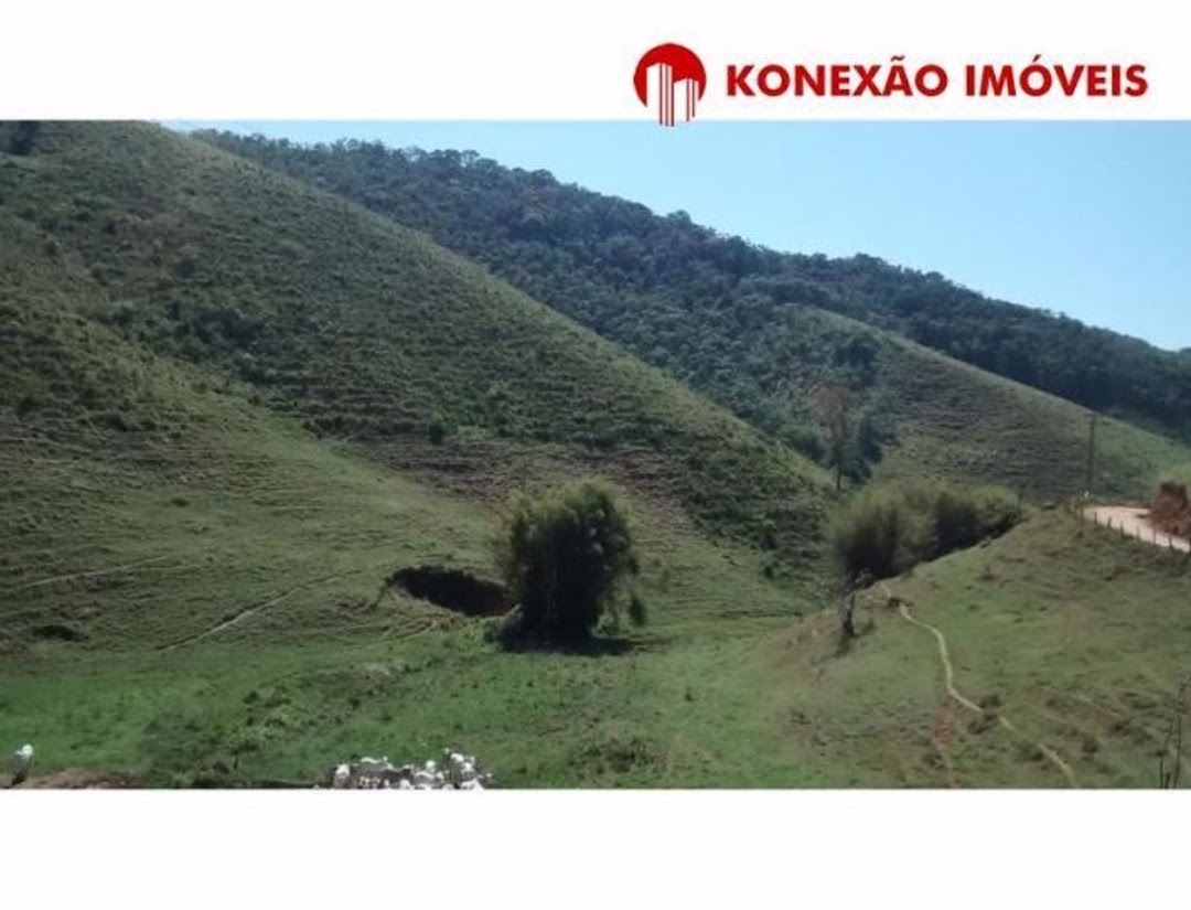 Fazenda-Sítio-Chácara, 100 m² - Foto 4