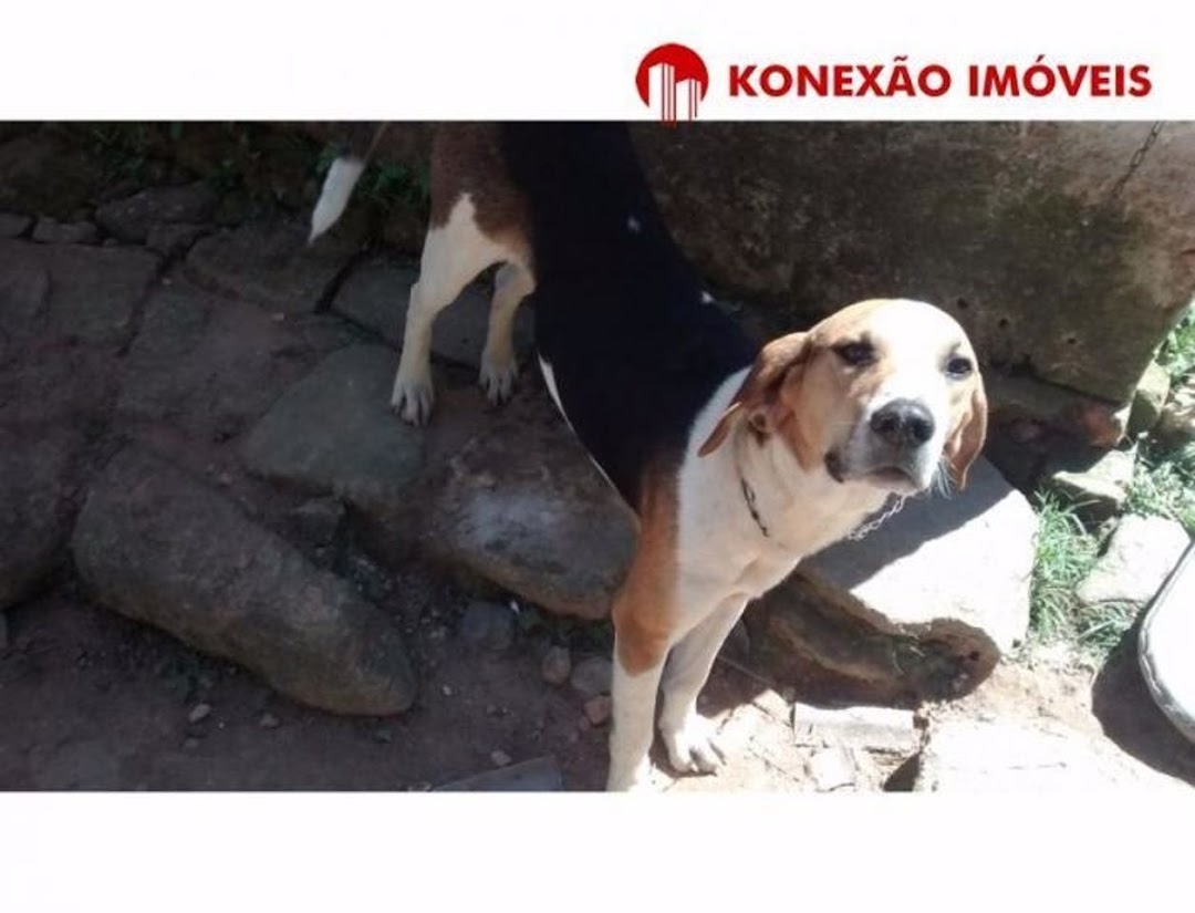 Fazenda em Natividade da Serra/São Paulo — Ref SWJO3R — Imagem 14