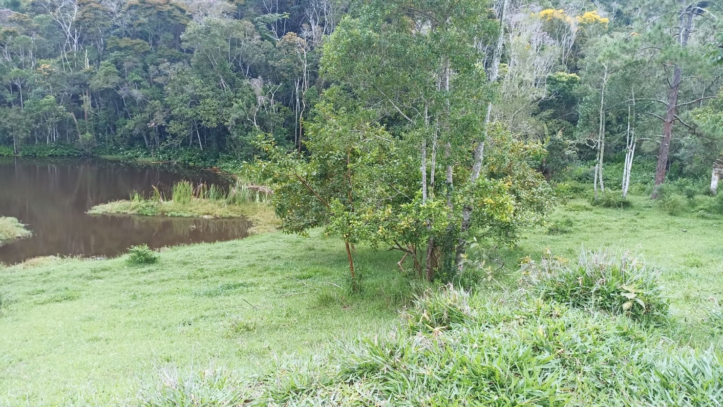 Fazenda, 900 m² - Foto 1